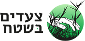 צעדים בשטח