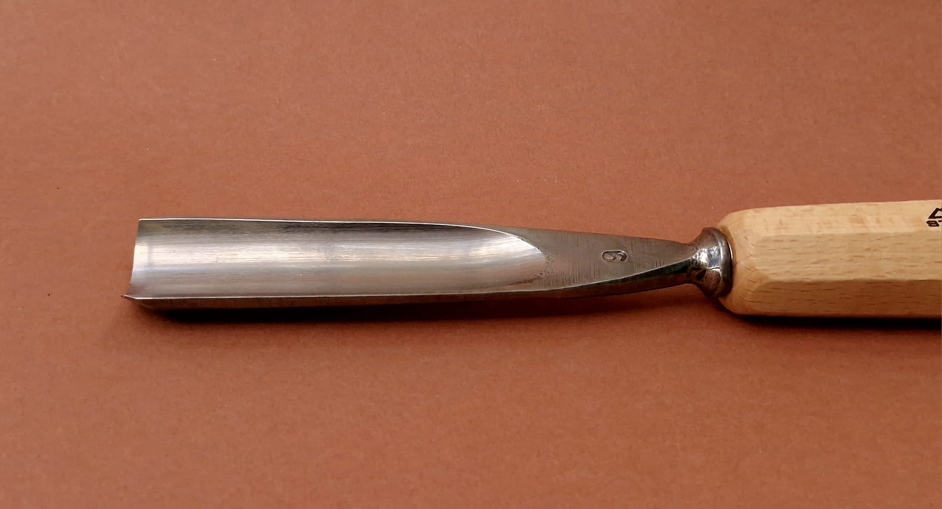 WhatsApp Image 2025-11-09 at 13.42.57