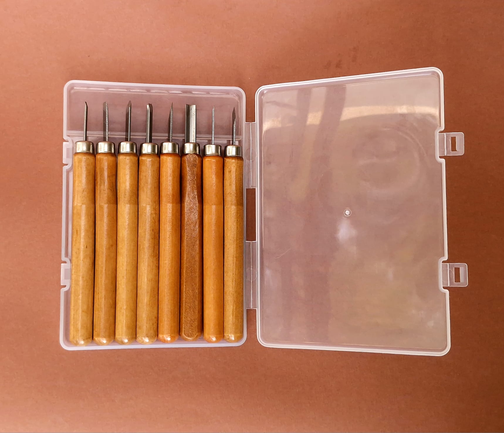 WhatsApp Image 2025-11-09 at 14.00.